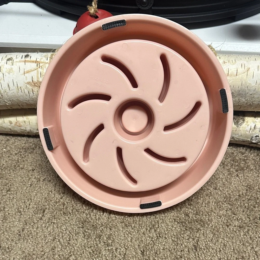 Slow eating dog bowl